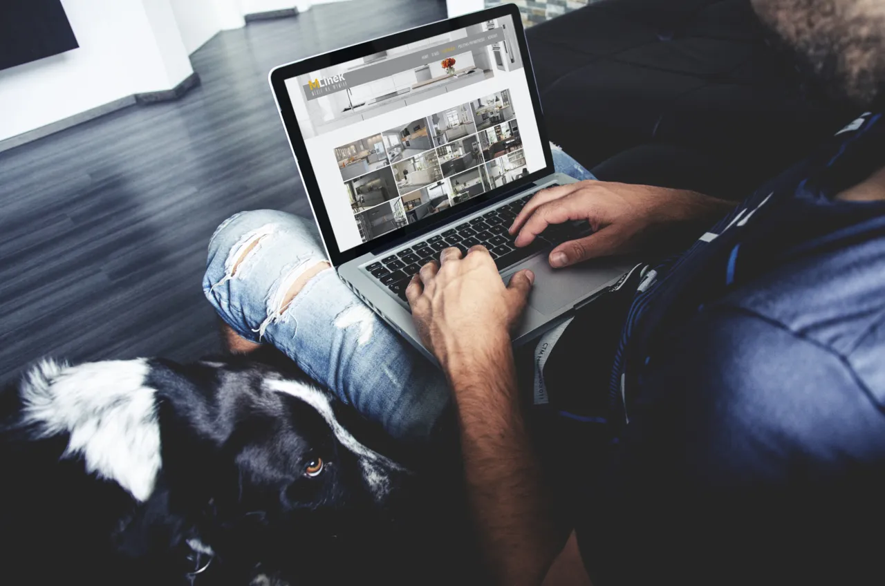 Wykonanie strony internetowej linekmeble.pl