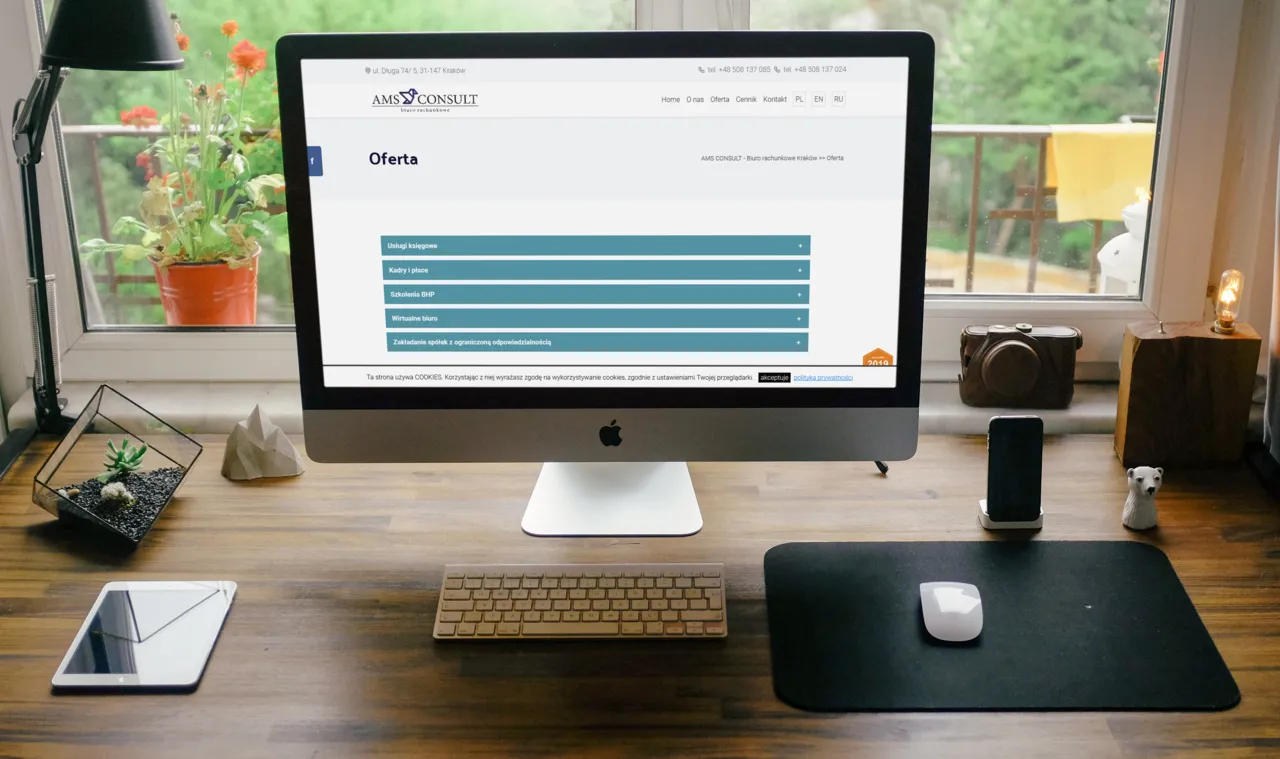 Wykonanie strony internetowej amsconsult.pl