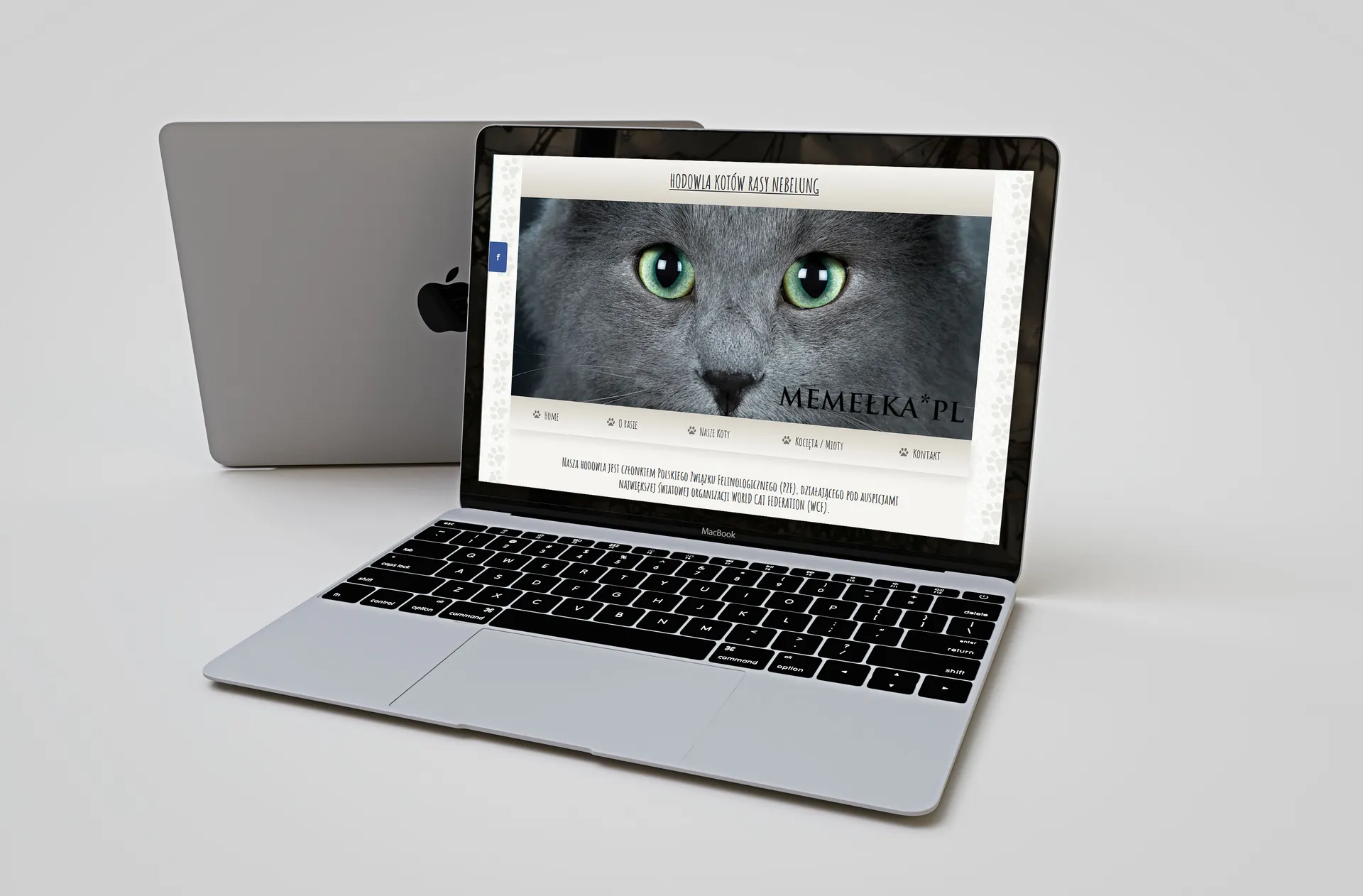 Strona nebelungcattery.pl