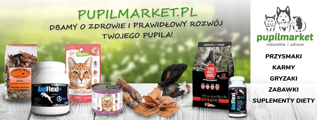 Banery internetowe na Facebooka dla Pupilmarket.pl