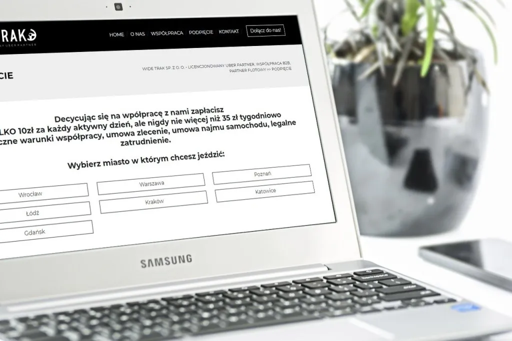 Strona internetowa dla WideTrakGroup.pl